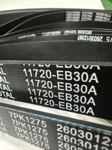 Nissan 11720-EB30A Engine Belt view 3