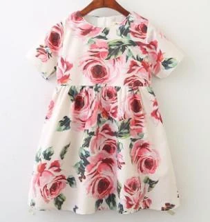 Pink Rose Short-Sleeve Dress showcase